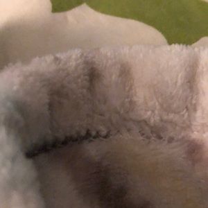 Meet your Posher, Annabelle